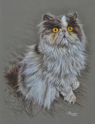 Mr Darcy - 27 hours
Dark Grey Pastelmat board
17" x 13"
Ref: Calvin Dawson